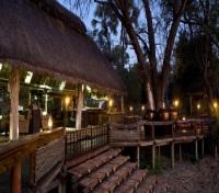 Mombo Camp