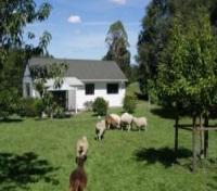 Farmstay