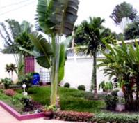 JM Residence, Bengui
