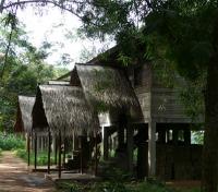 Doli Lodge, Bayanga