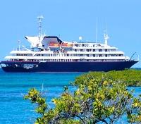Silver Galapagos