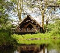Finch Hattons Camp