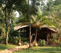 Forest Camp Exterior