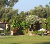La Gazelle D'Or