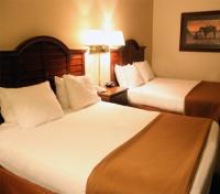 Best Western Ruby's Inn - Guest Room
