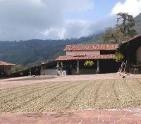 Hacienda El Carmen Hotel