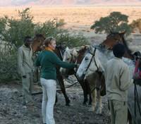 Desert Rhino Horseback Riding 