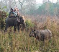 Elephant Ride at Narayani Safari Resort
