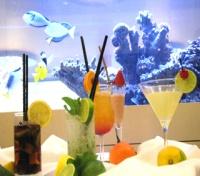 Hotel Lev Aperitif Bar