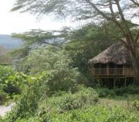 View from Cottages