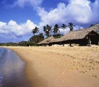 Kiwayu Safari Village - Beach