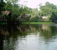 Mis Palafitos Lodge