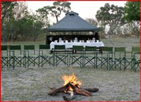 Camp Moremi Mobile Camp