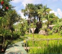 Orinoco Delta