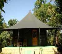 Pench Jungle Camp Tent
