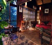Tiger Trails Resort Tree House Interior