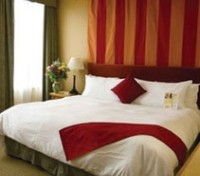 Comfort Inn Downtown Guest Room