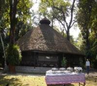 Tiger Tops Jungle Lodge Dining