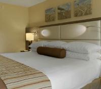 Standard Guestroom