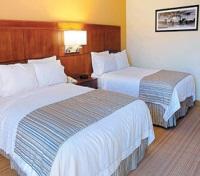 Courtyard by Marriott Lake Buena Vista - Guest Room