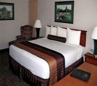 Shilo Inn Downtown - Guest Room