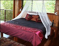Rose Gums Wildnerness Retreat Treehouse Suites