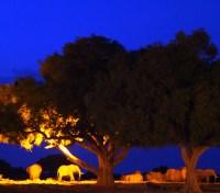 Satao Camp at night