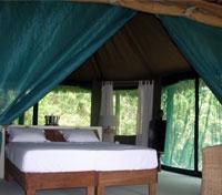 Selous Wilderness Camp - Standard Tent Room