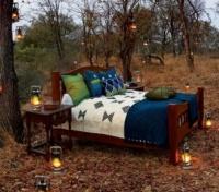 Singita Pamushana Camp Out