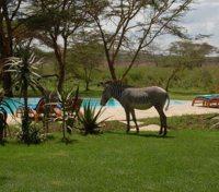 Sirikoi Lodge Pool