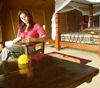 Tent Interior
