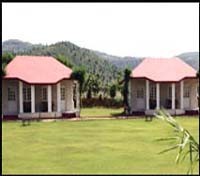 Tiger Den Resort