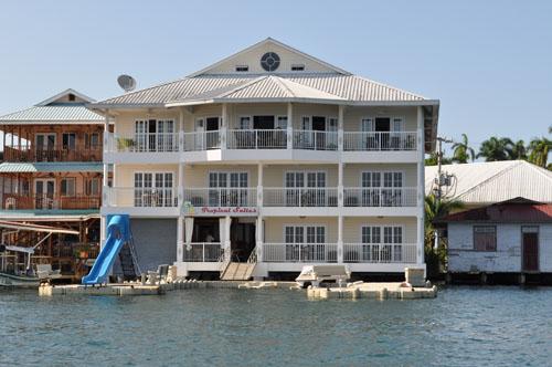 Tropical Suites