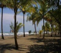 Beach at Turtle Beach Lodge