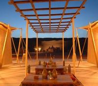 Desert Nights Camp