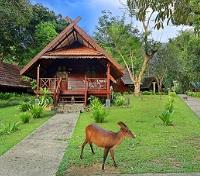 Little Vumbura - Wildlife