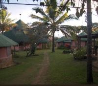 Yakoo Lodge Gardens