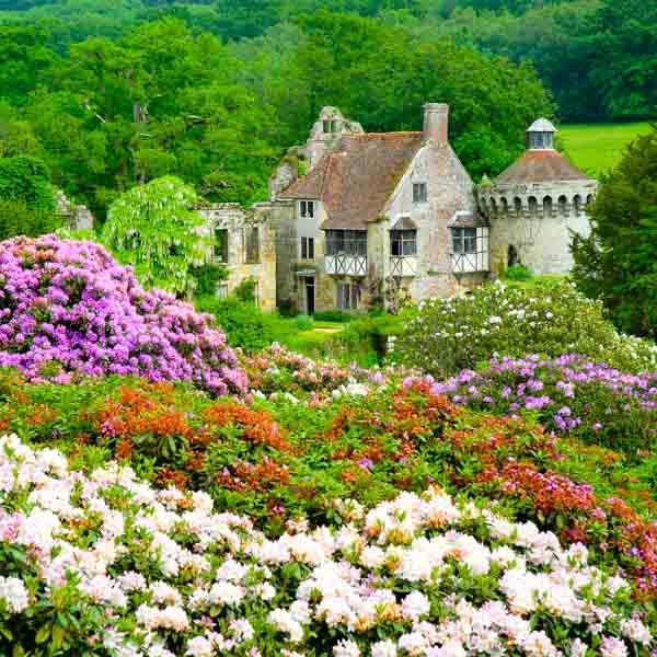 Small Group Tour 2018 Chelsea Flower Show England Tours
