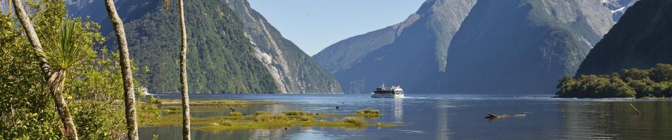 New Zealand Cruise