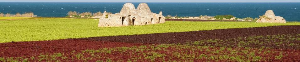 Trulli House in Puglia