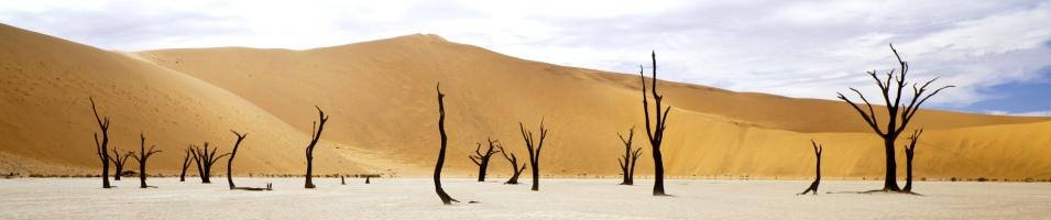 Dead Vlei