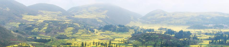Yunnan Province