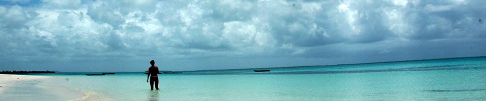Banner for City, Safari & Beach