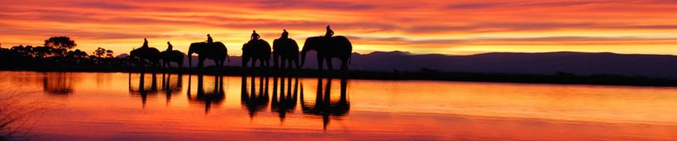 African Sunset