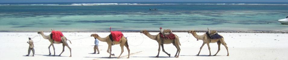 Mombasa Beach