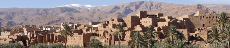Morocco Desert Camels