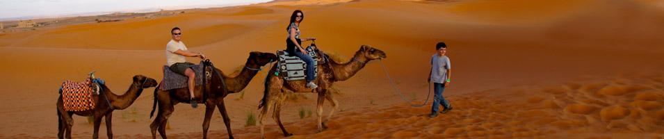 Desert Caravan