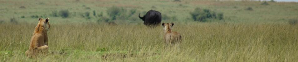 South Africa Explorer Trip