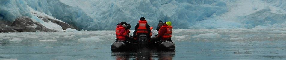piloto glacier