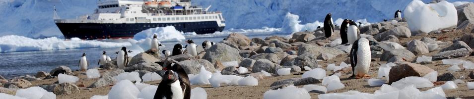 Cruise to Antarctica